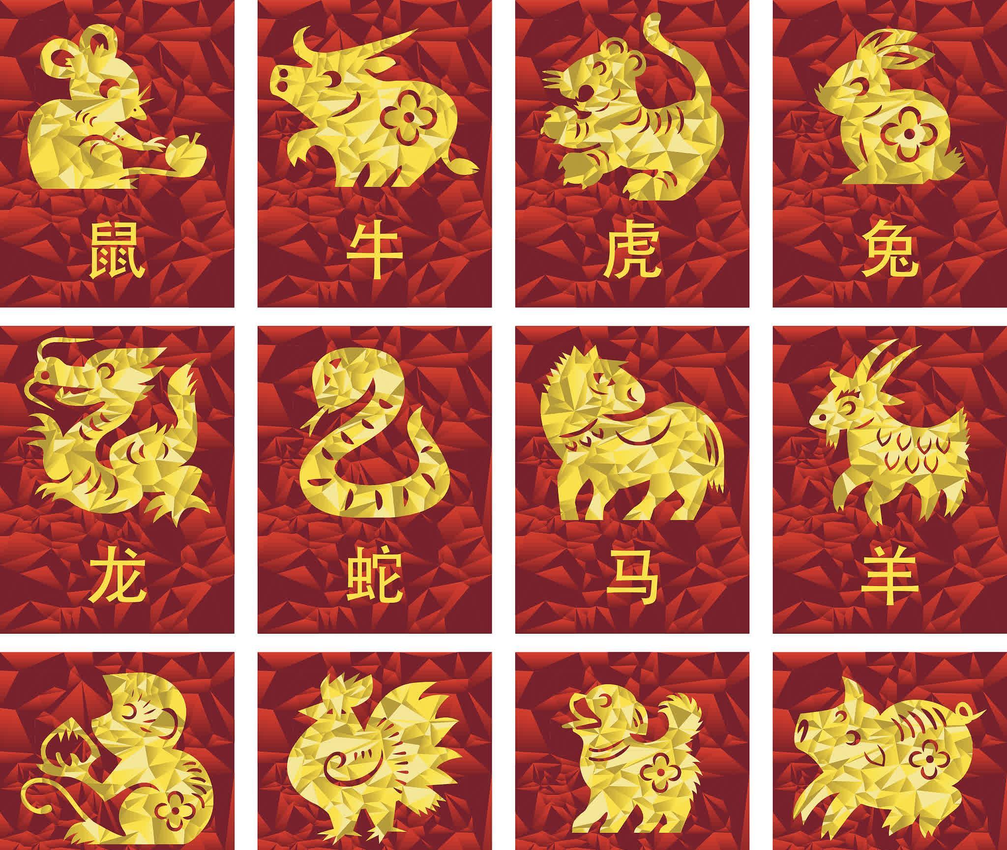 生肖运势分析图解女人(生肖运势详解)