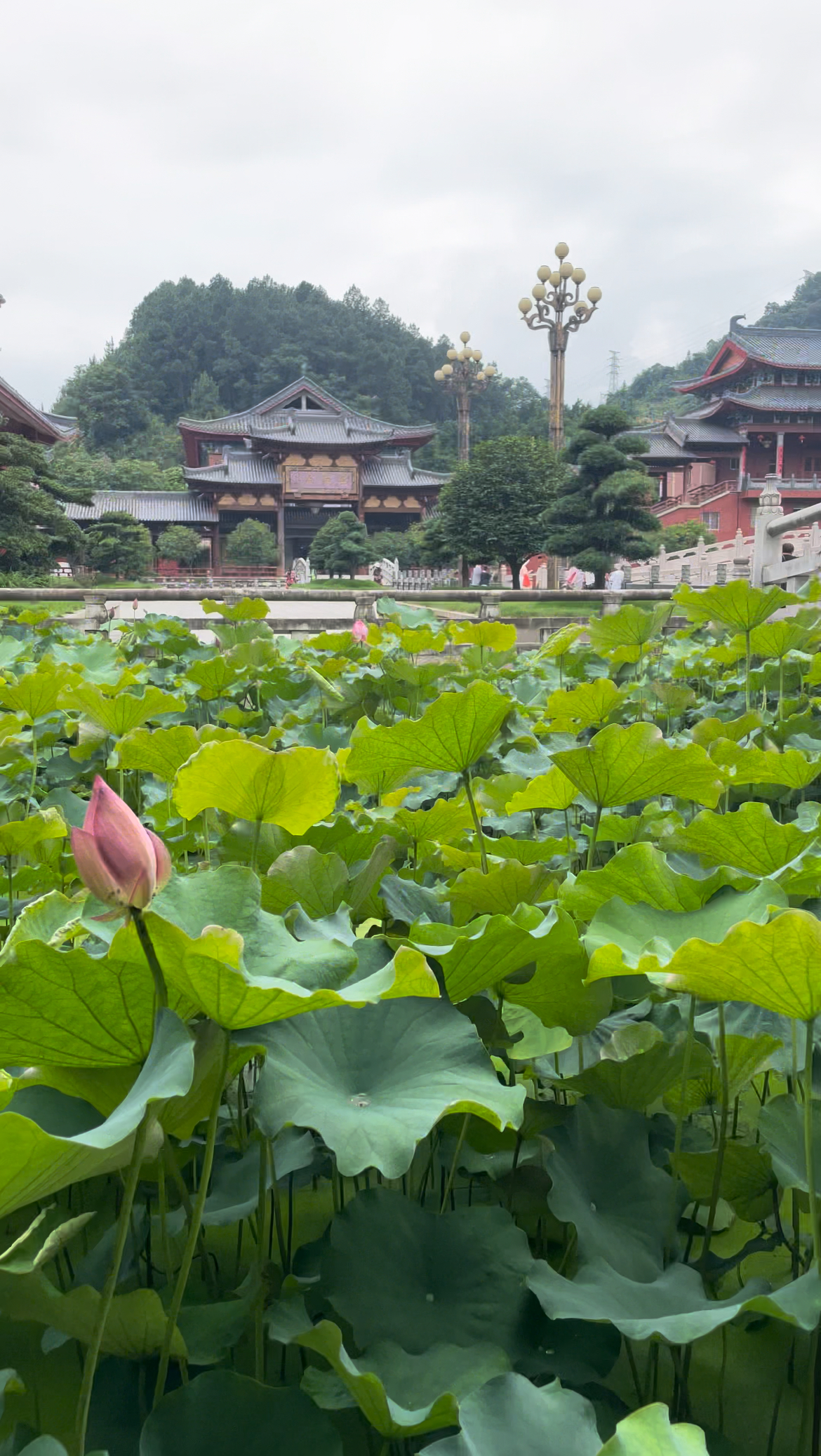 闽侯旗山万佛寺图片