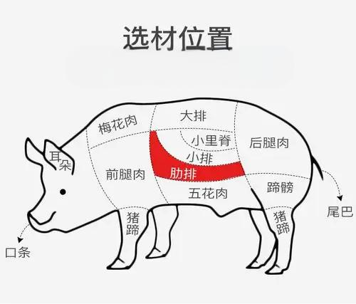 猪排骨选购终极指南