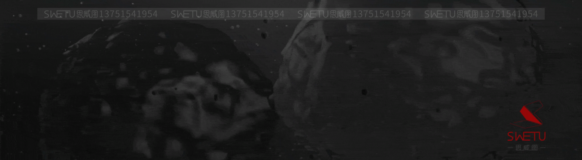 思威图数字：告别参数堆砌！汽车展厅用工艺拆解 + 数字创意，重新定义用户体验｜干细胞展厅设计公司｜大健康肠道菌群展厅｜长寿医学-有驾