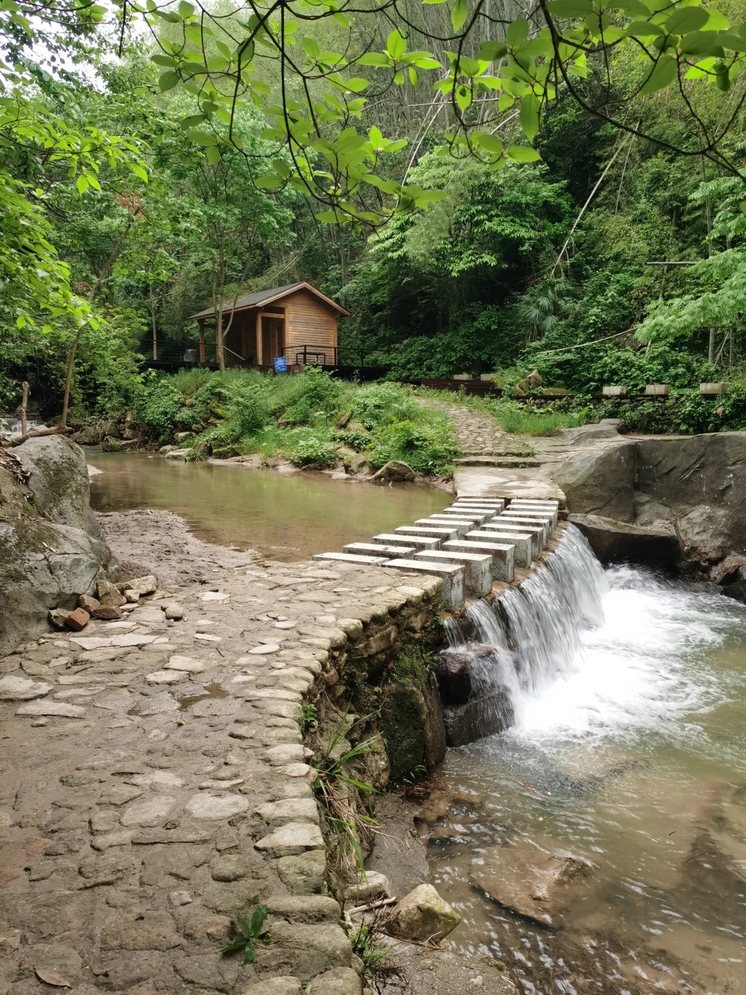 茶陵旅游景点介绍图片