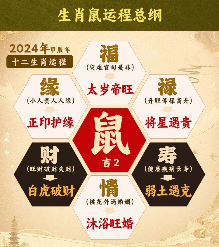 2025年生肖年的运势(2025年生肖运势完整版)