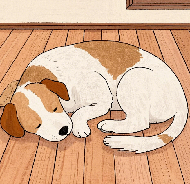 狗狗睡姿大揭秘:洞察健康的6个微妙信号