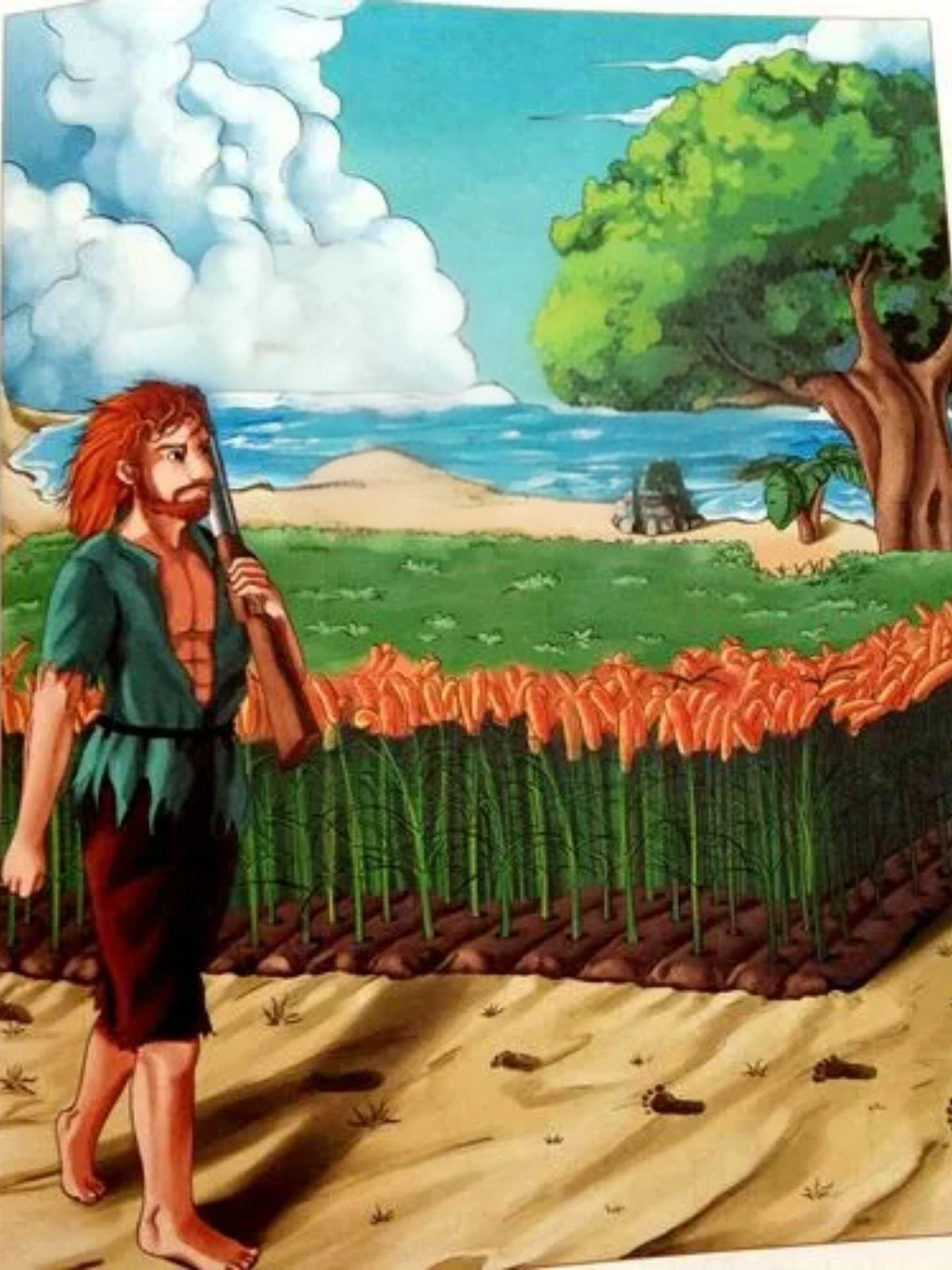 鲁滨逊在岛上种粮的第一年收获了什么