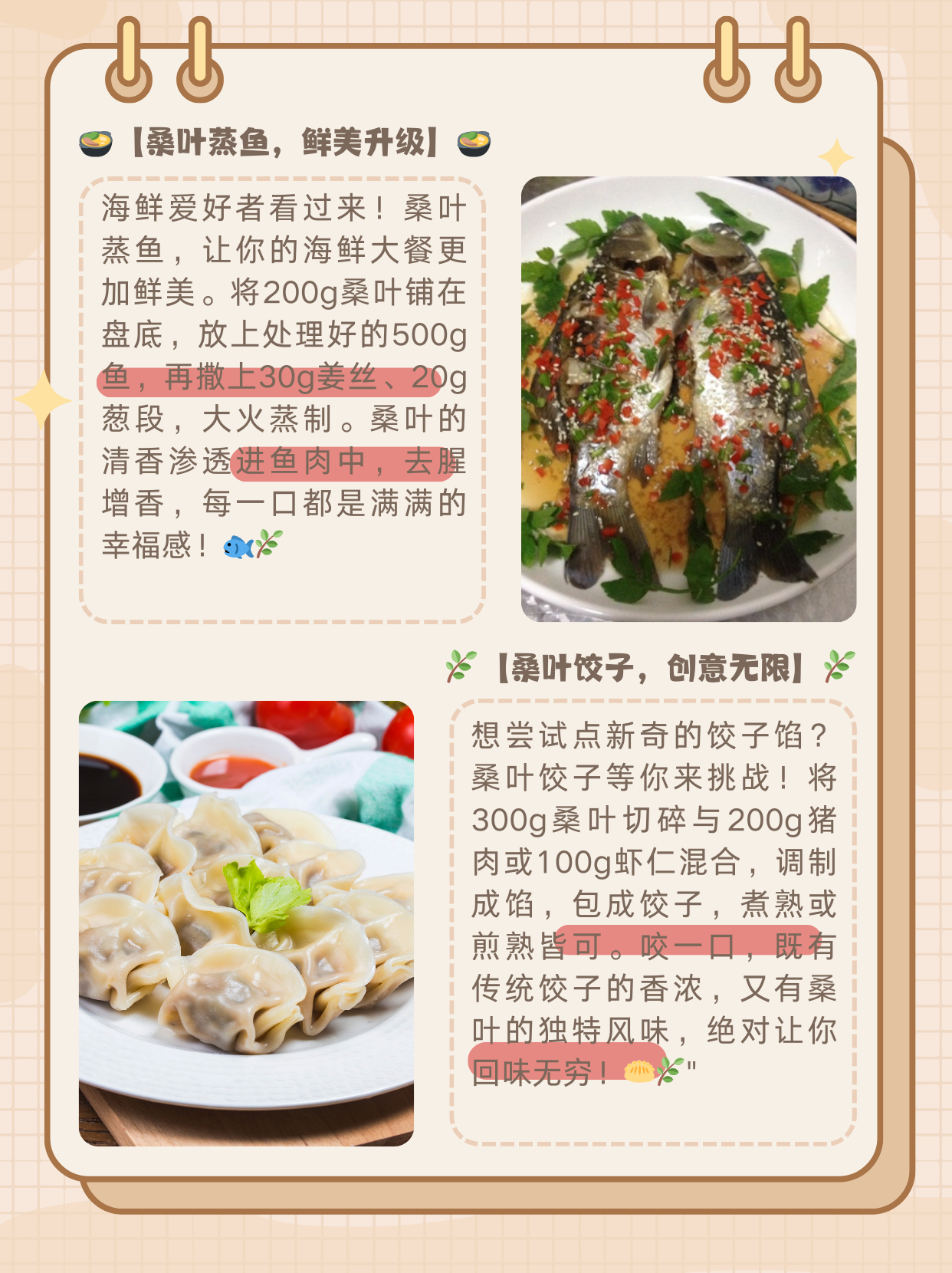 桑叶的作用食用方法图片