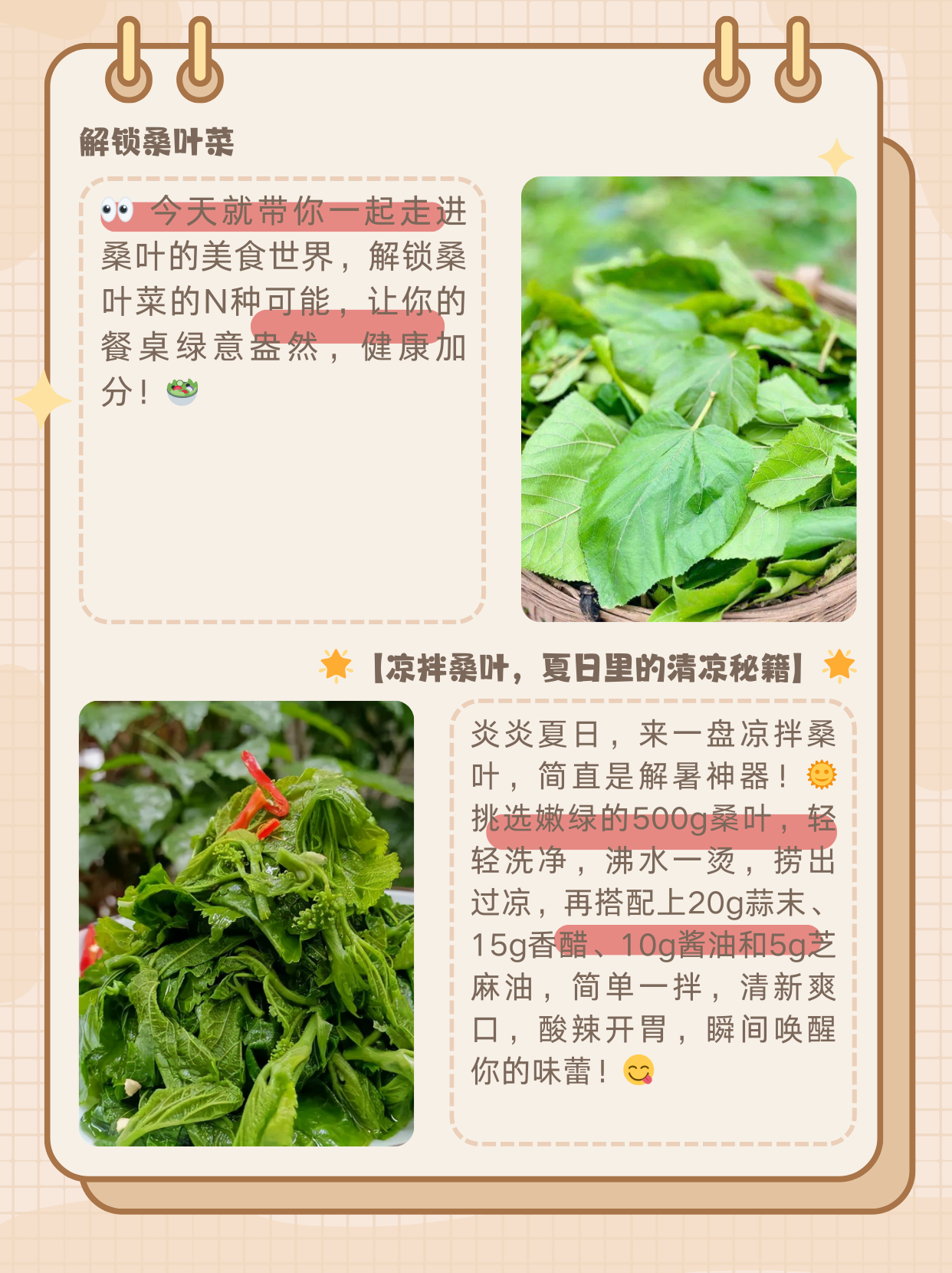 桑叶的作用食用方法图片