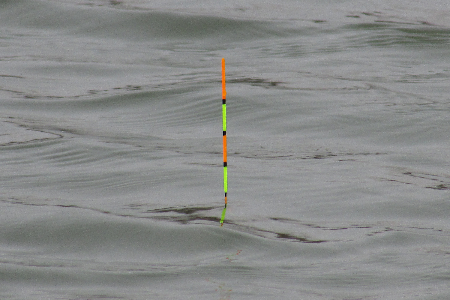 钓鱼选浮漂的4个标准