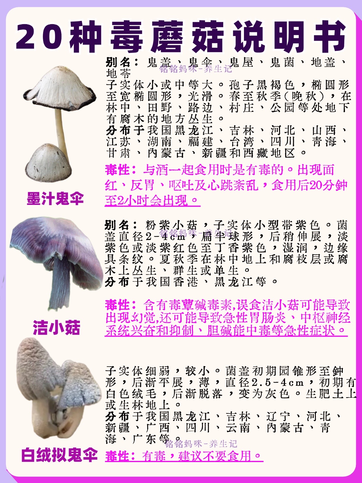 蘑菇花园全图鉴图片