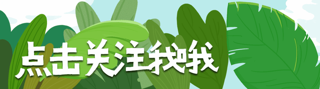 当快充狂飙遇上慢充养生，99%的车主都选错了充电姿势？-有驾