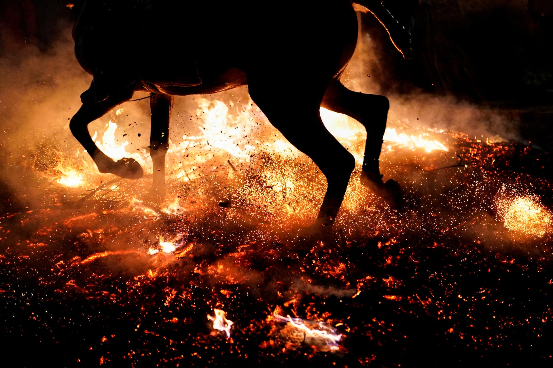 世界奇闻:火焰净化的马匹 "horses purified by fire"