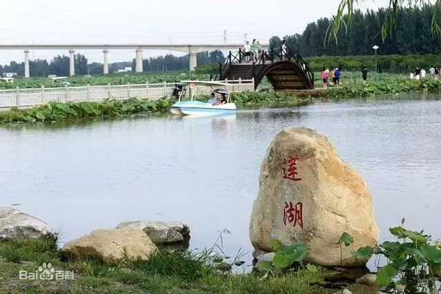 宝丰湛河源莲花湿地景区