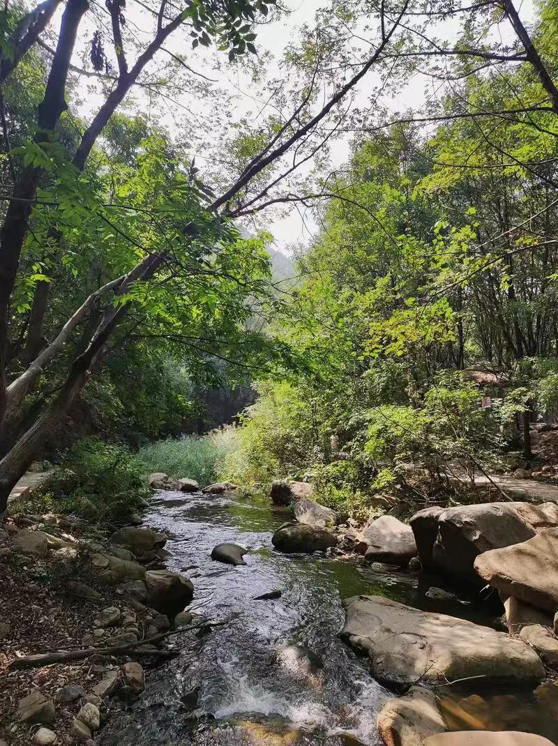 河南方城七峰山风景区图片