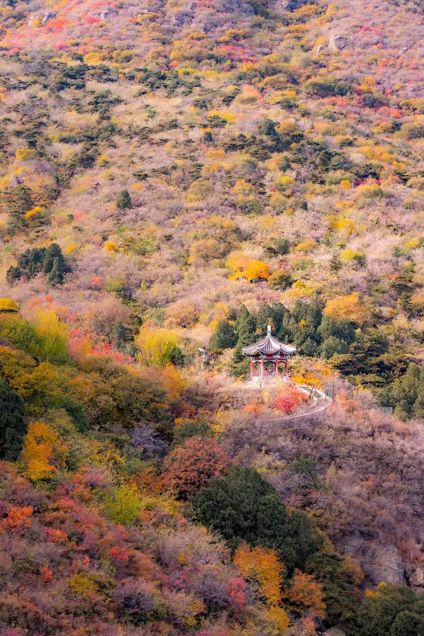 新安县黛眉山景区门票图片