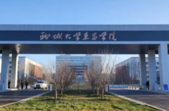 聊城大学东昌学院是民办还是公办?