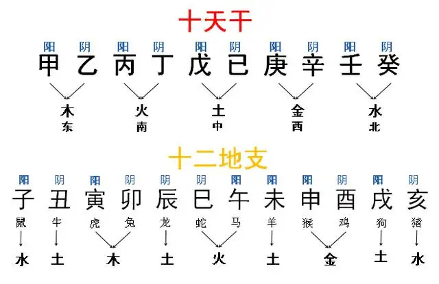 八字图解排盘图片