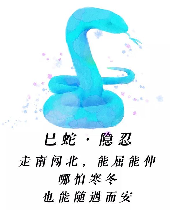 蛇的生肖运势讲解视频全集(生肖蛇运势揭秘)