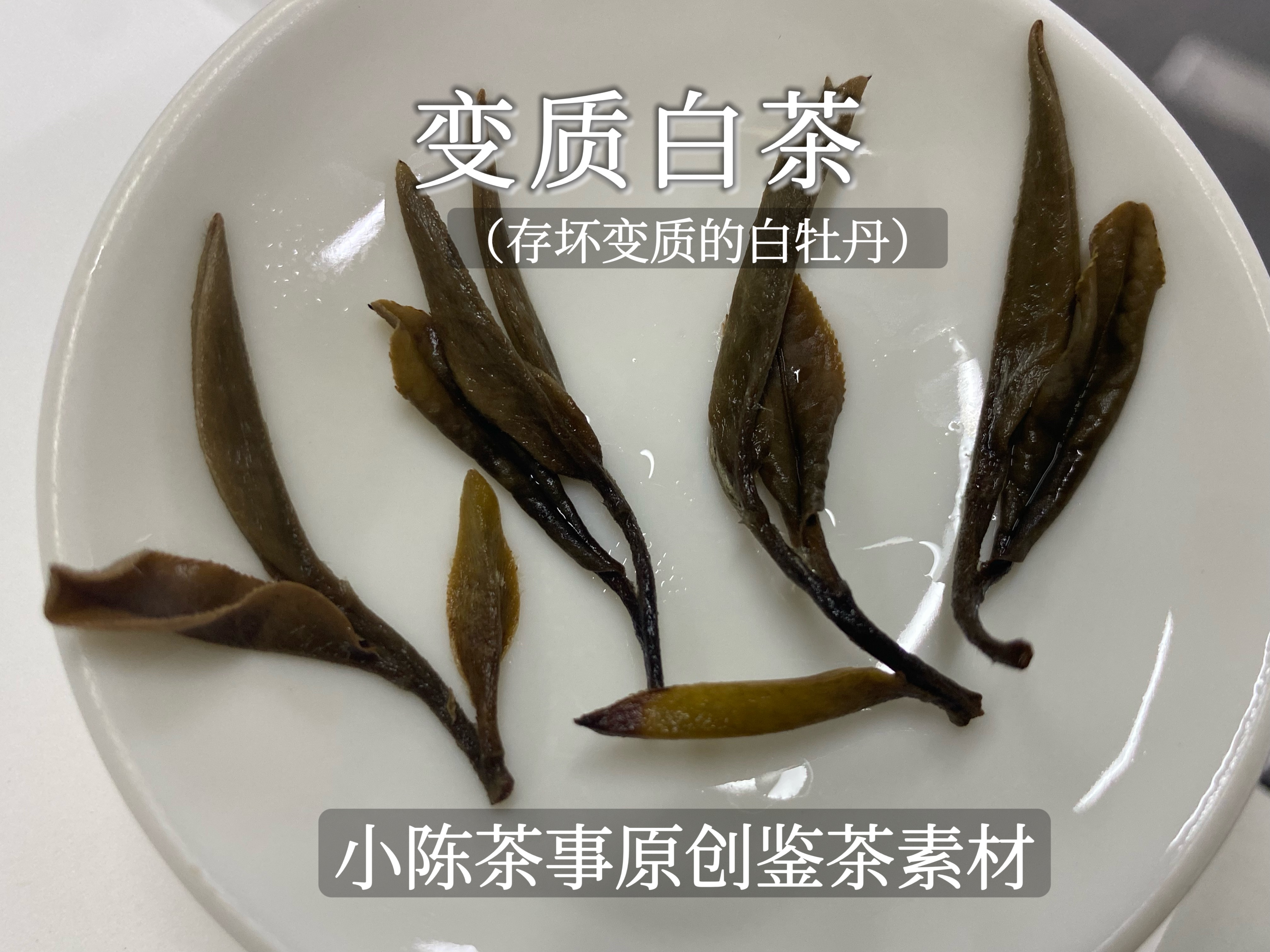 老白茶颜色发黑,汤色发红,看起来像红茶,请问正常吗?