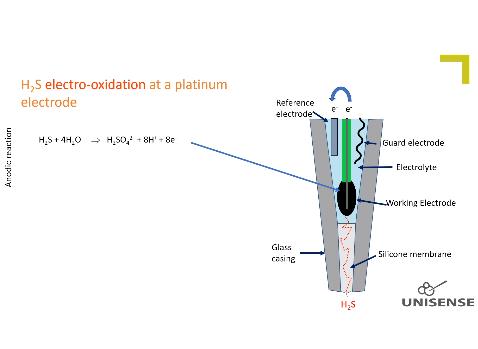 硫化氢的电化学氧化过程,反应机制