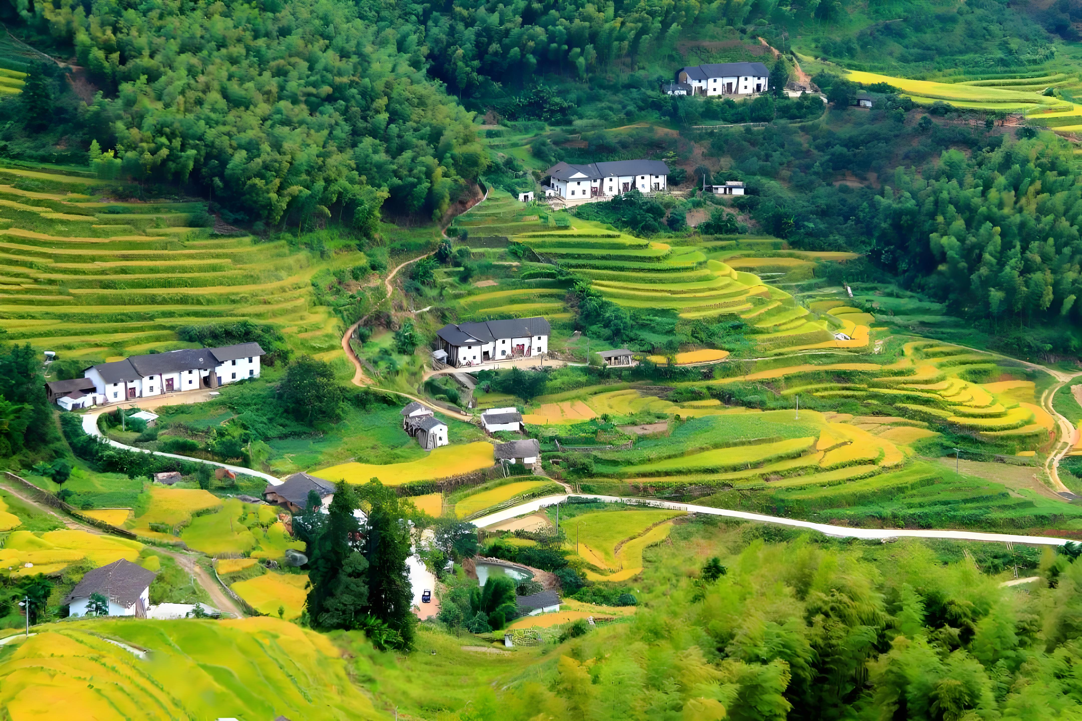 江西崇义景点推荐:客家梯田,花海影视基地,野果世界,一网打尽