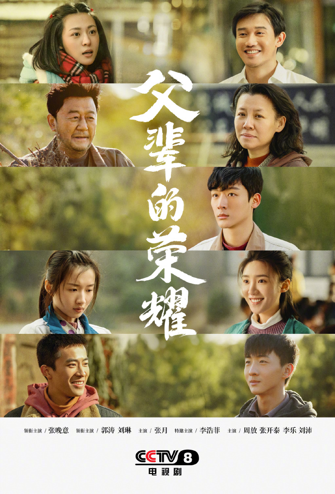 感人至深:《父辈的荣耀》电视剧观后感