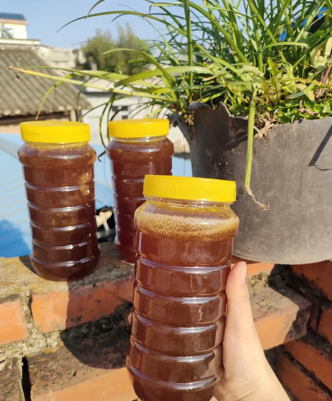 蜂蜜一千年也不会过期(蜂蜜放了100年还能吃吗) 蜂蜜一千年也不会过期(蜂蜜放了100年还能吃吗)