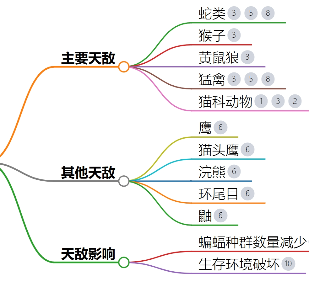 蝙蝠天敌图片