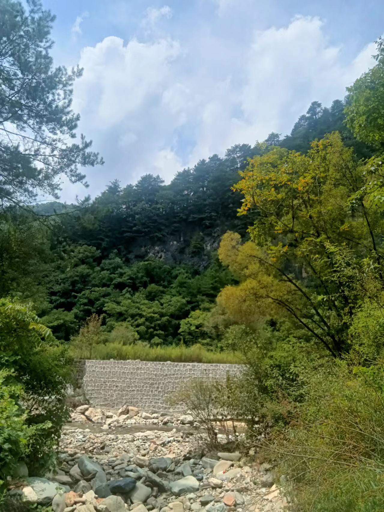 陕西朝阳沟景区在哪图片