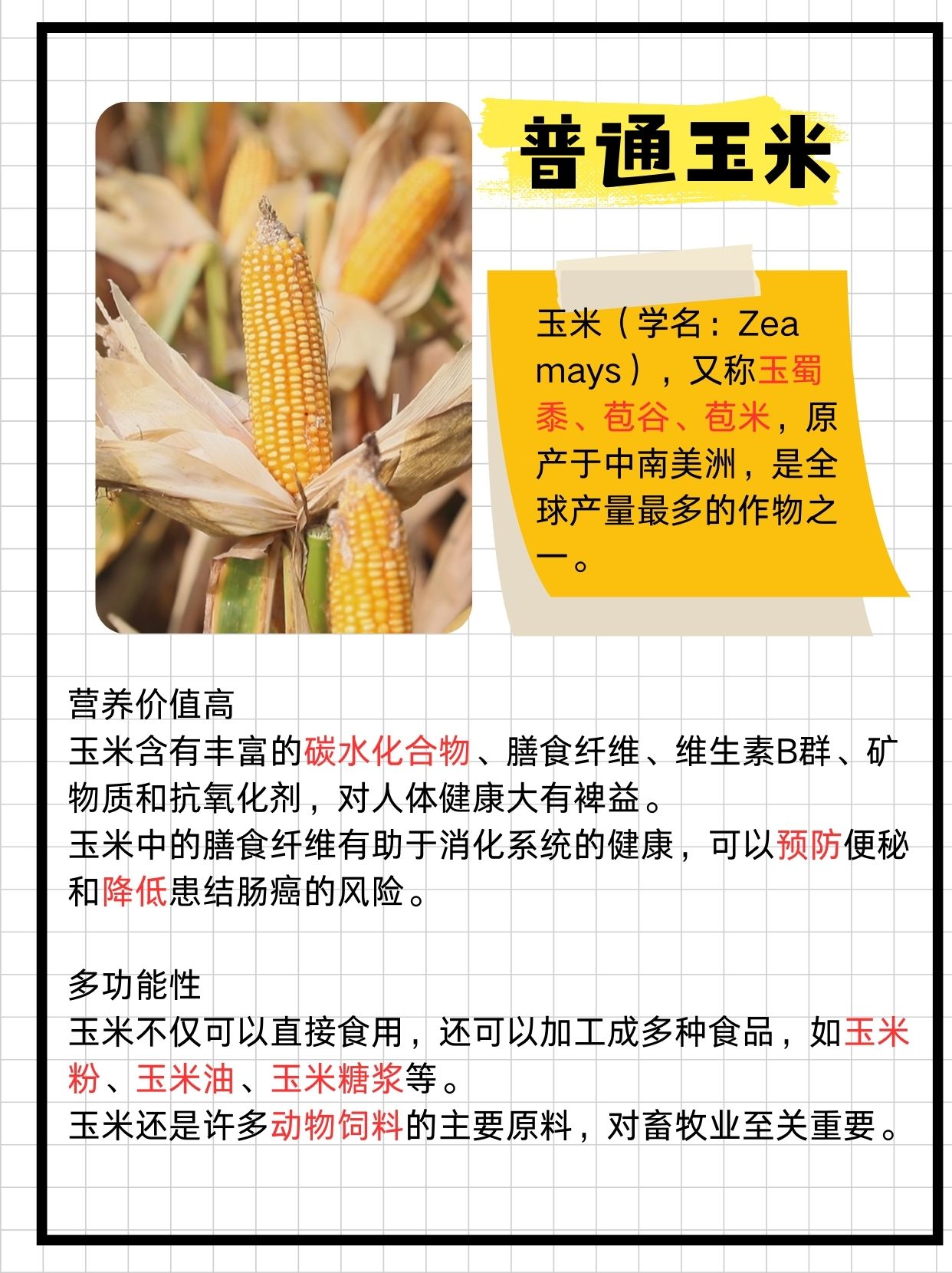 转基因玉米与普通玉米的区别