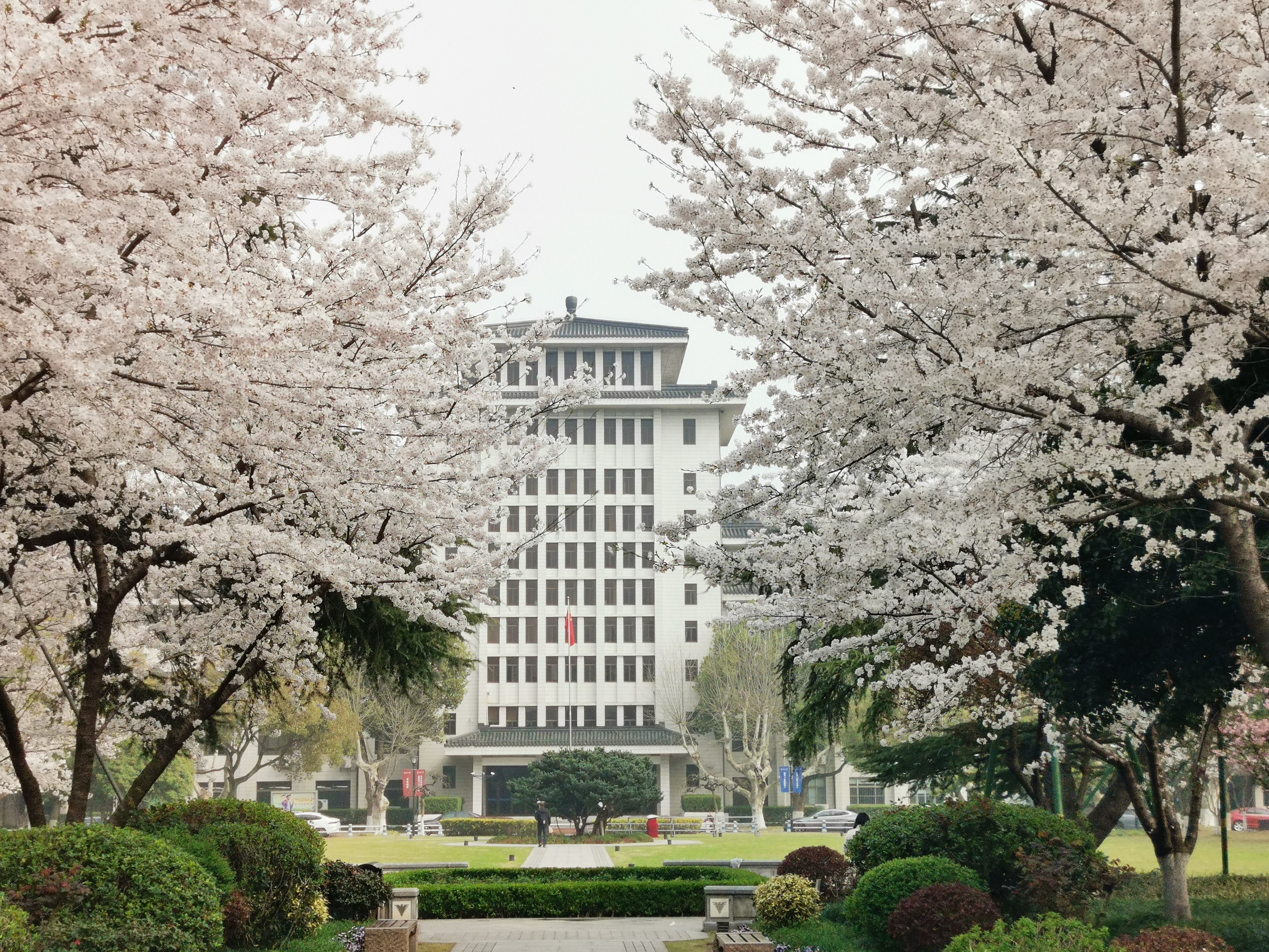 西溪校区图片