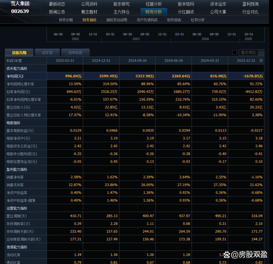 雪人股份股票分析 雪人股份股票分析