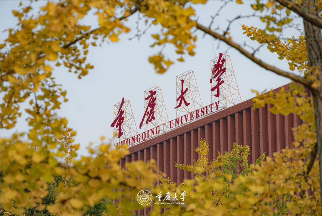 重庆大学是985吗