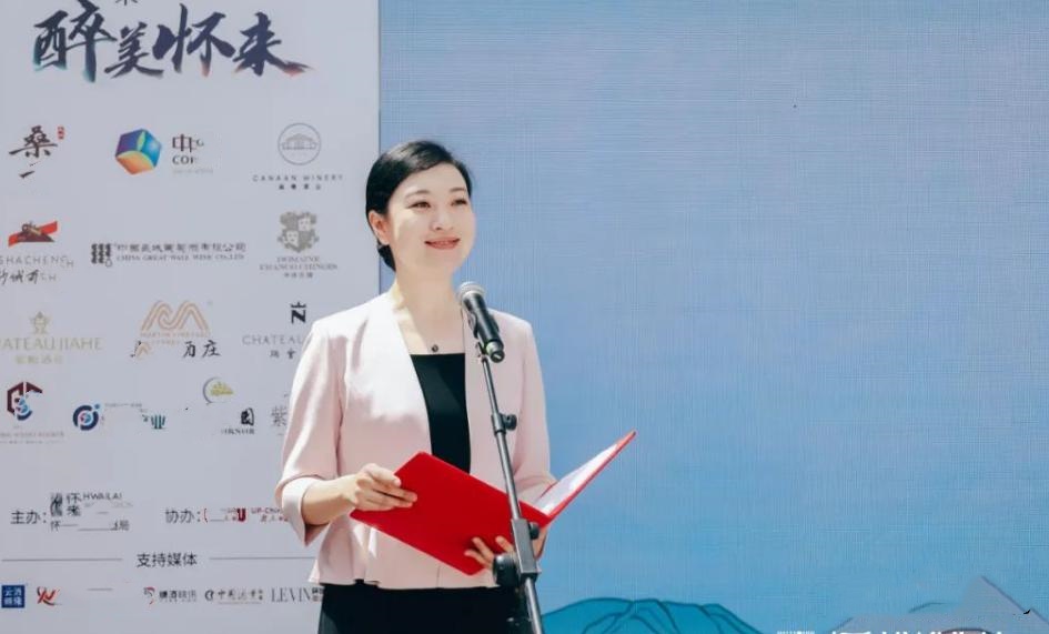 37岁清华美女博士张琪,已任职县委书记,个人履历公开,让人佩服