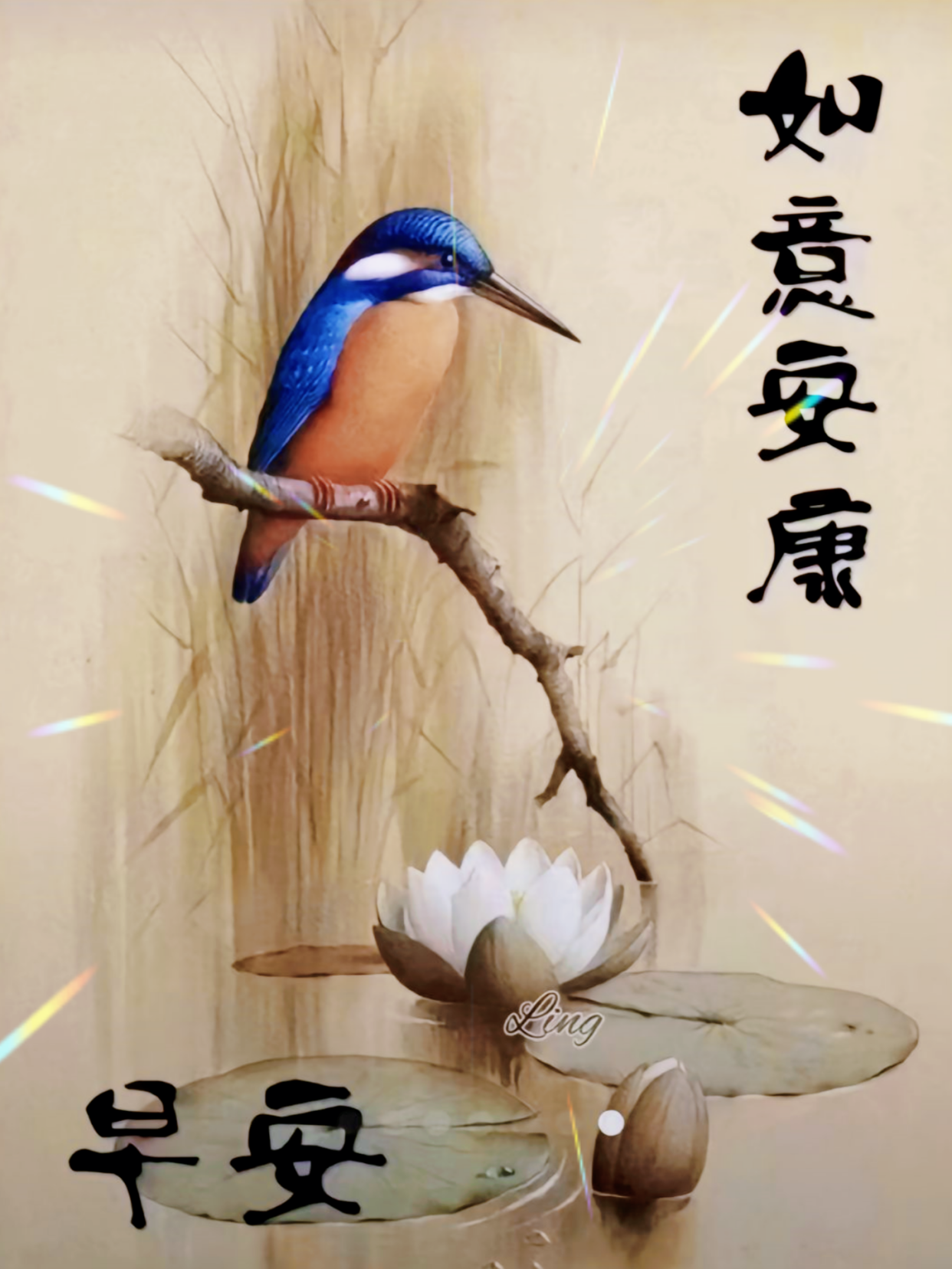 早安,早上好图片