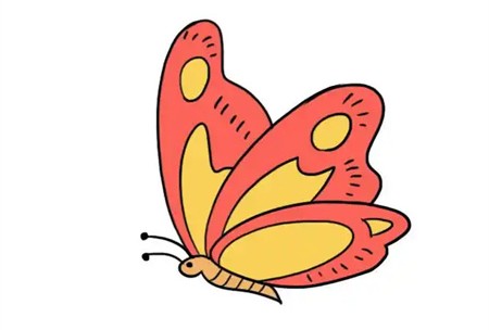 一看就会!蝴蝶简笔画的漂亮绘制秘籍