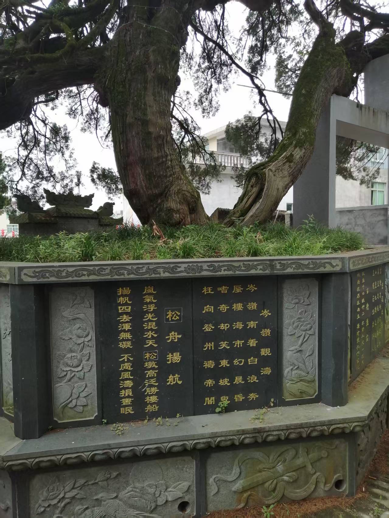 诗联赞颂霞浦水门畲乡芦洋村及赏析
