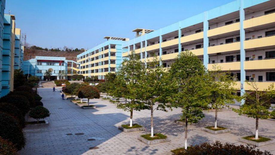 长沙财经学校2023 年与 2024 年录取分数线对比