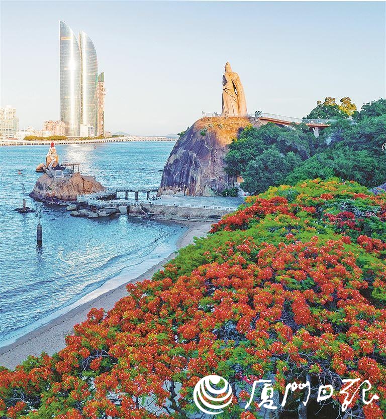 厦门市树 市花图片