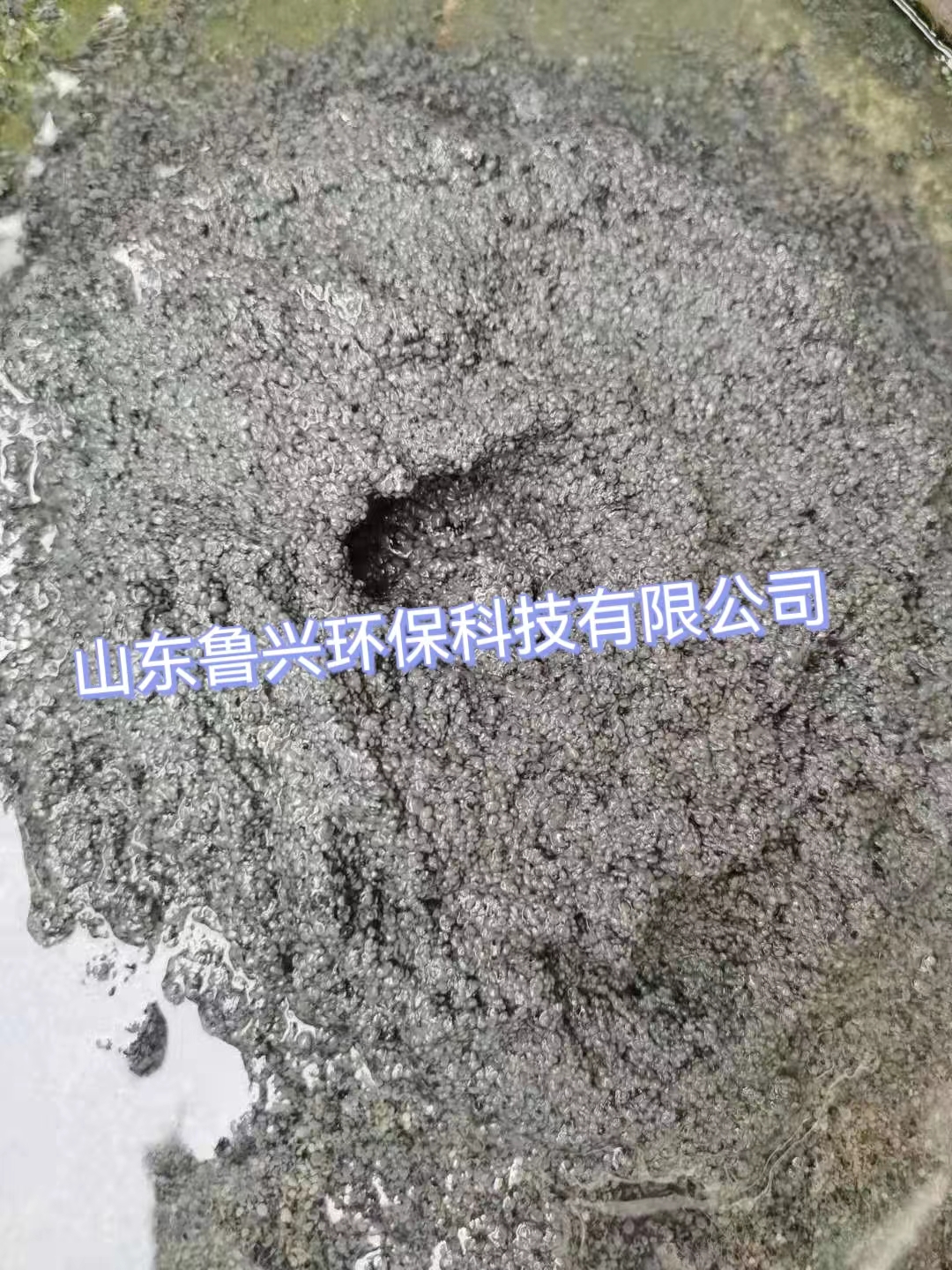 厌氧颗粒污泥形成的原理