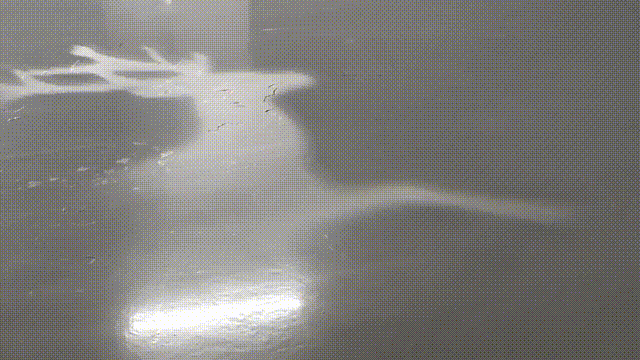 体验享界S9T，一位更聪明、更周全的全能伙伴-有驾