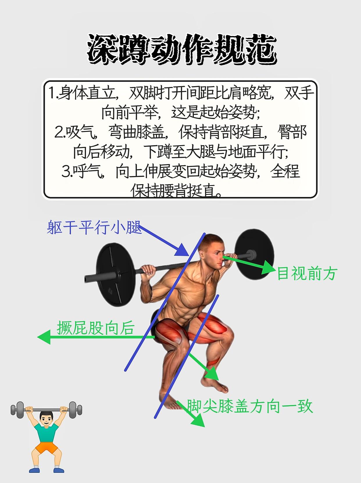 史密斯深蹲标准动作图片