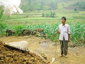 广西24岁男孩执意娶71岁老太为妻,婚后生活出乎大家意料