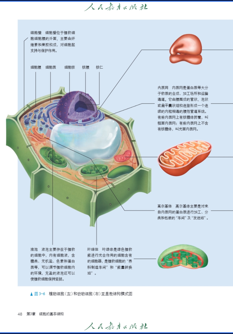 人教版普通高中《生物学》必修1分子与细胞