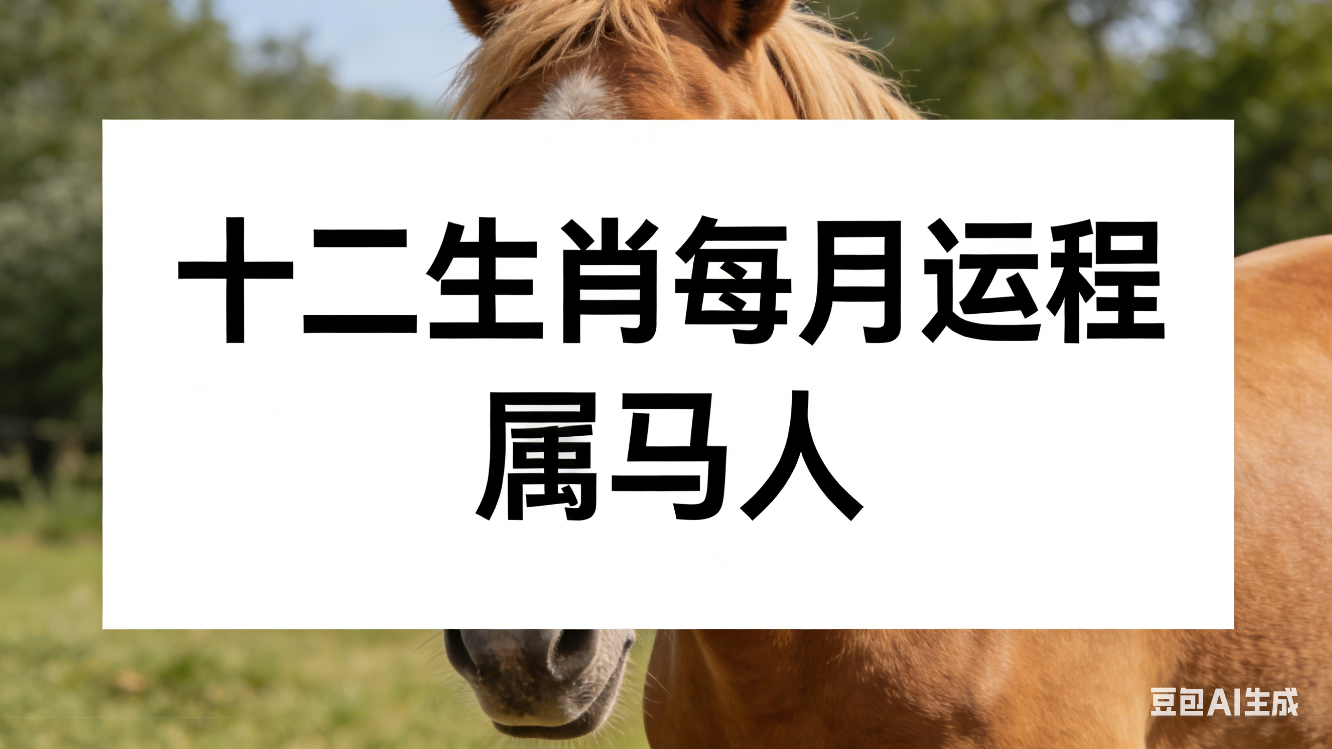 生肖马的明天运势如何呢(生肖马的明天运势如何呢女生)