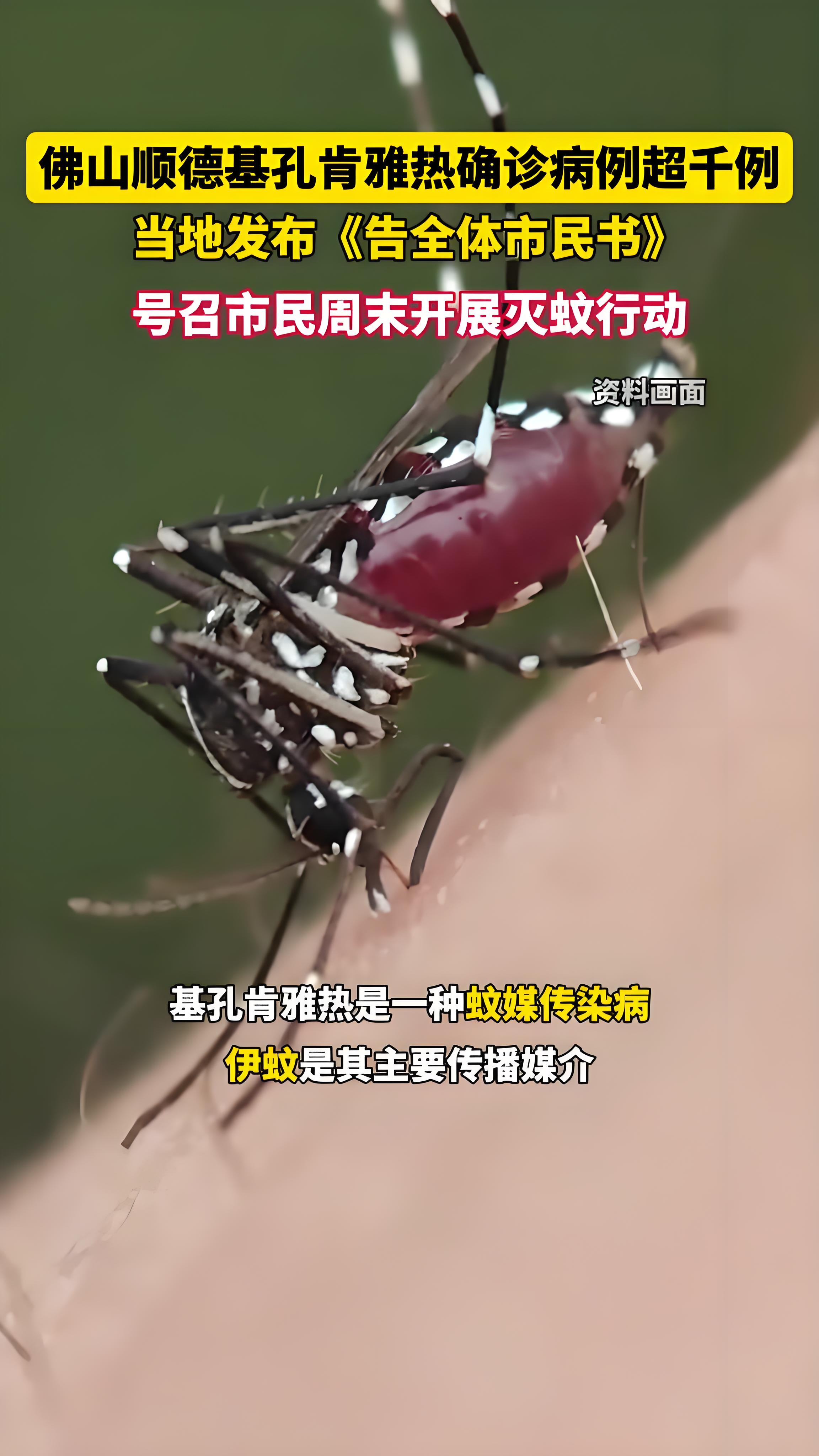 疫情的来头(疫情开始的由来) 疫情的来头(疫情开始的由来)