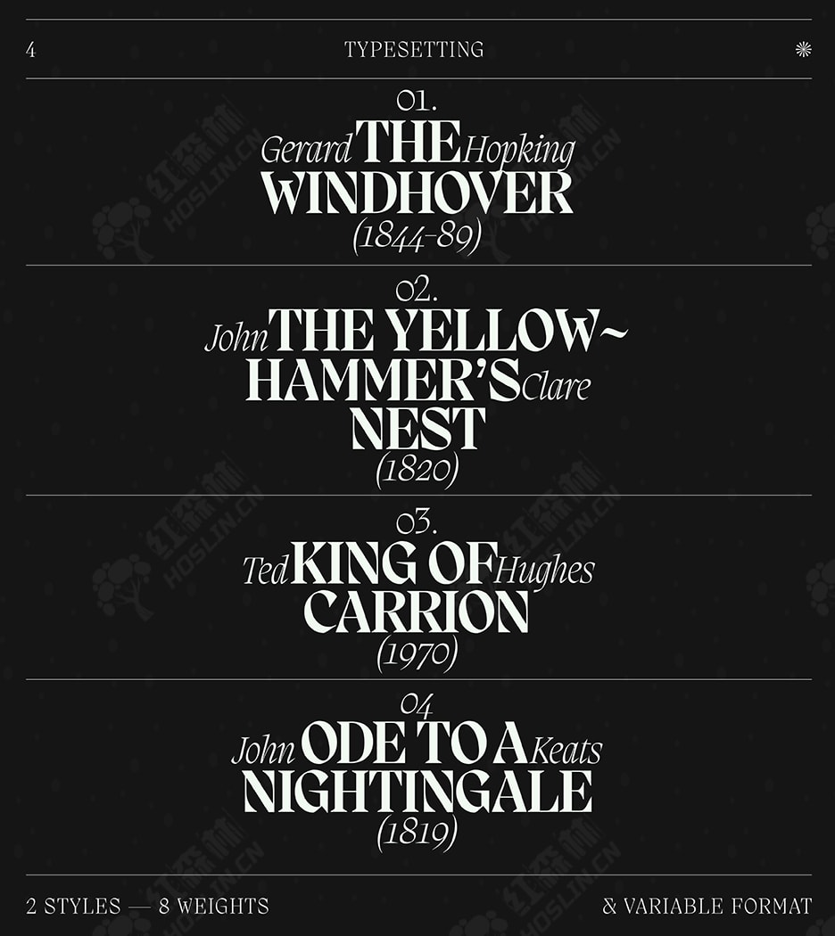 优雅轻盈尖锐稳重浑厚排版设计衬线英文字体 migra display font