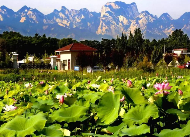 华阴市旅游景点有哪些图片