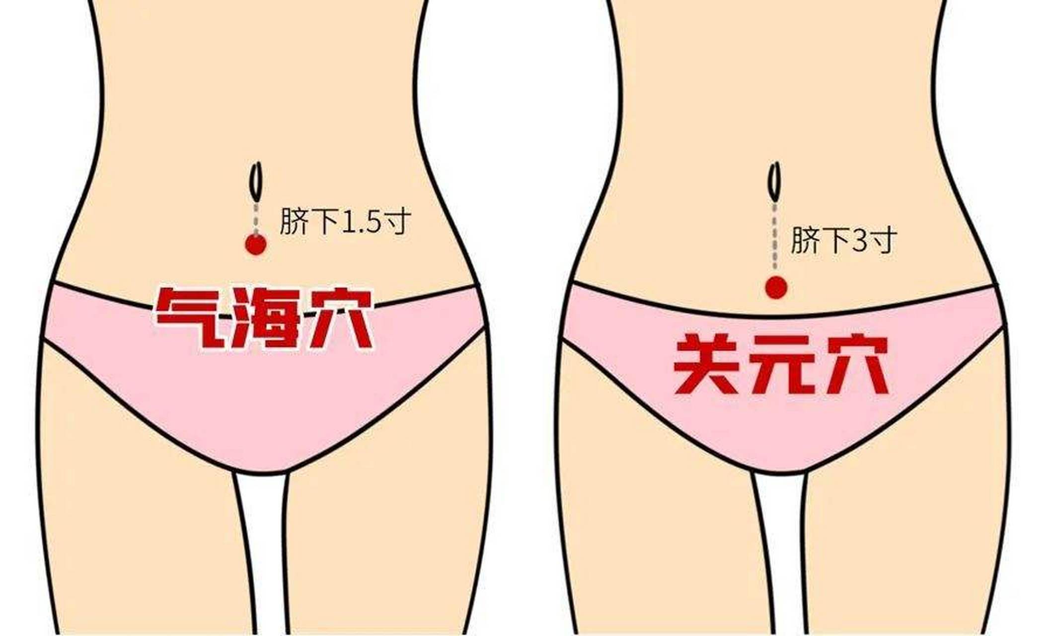 膎窝的准确位置图图片