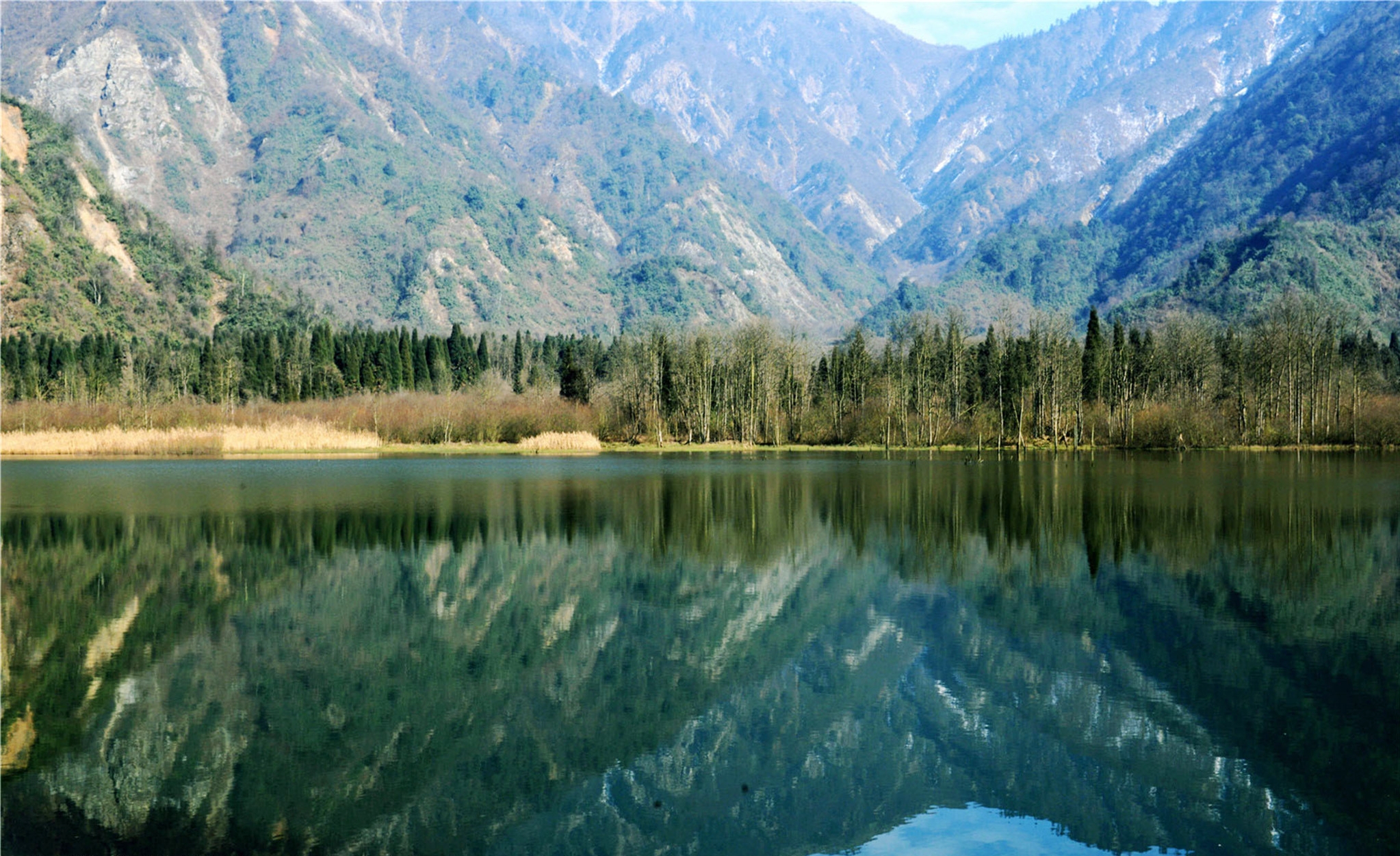 都江堰龙池风景区图片