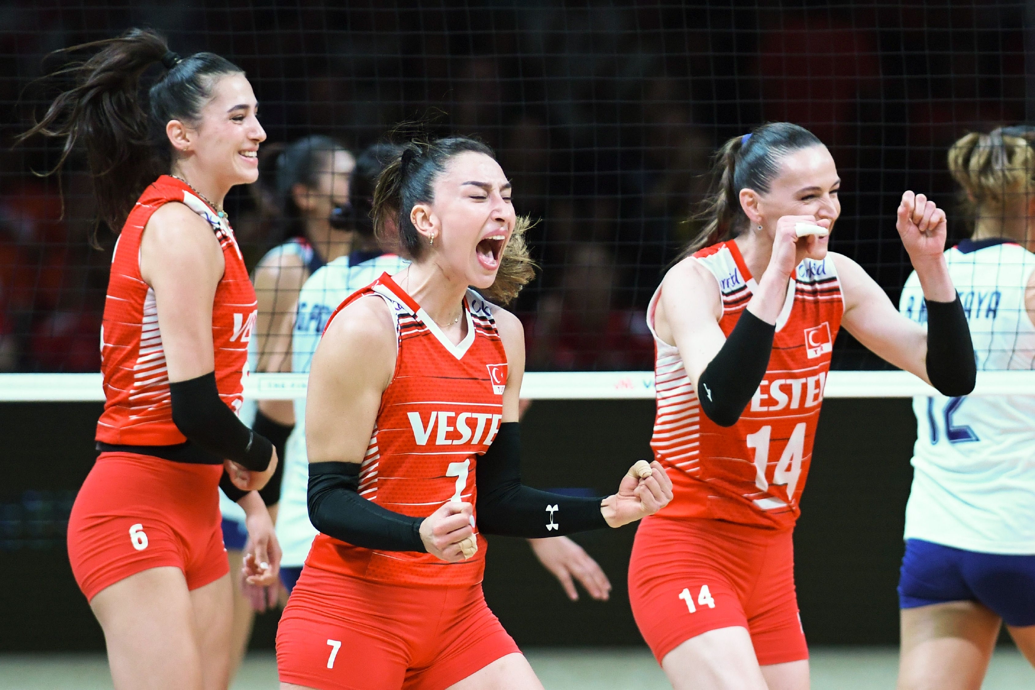 女排的最新排名?