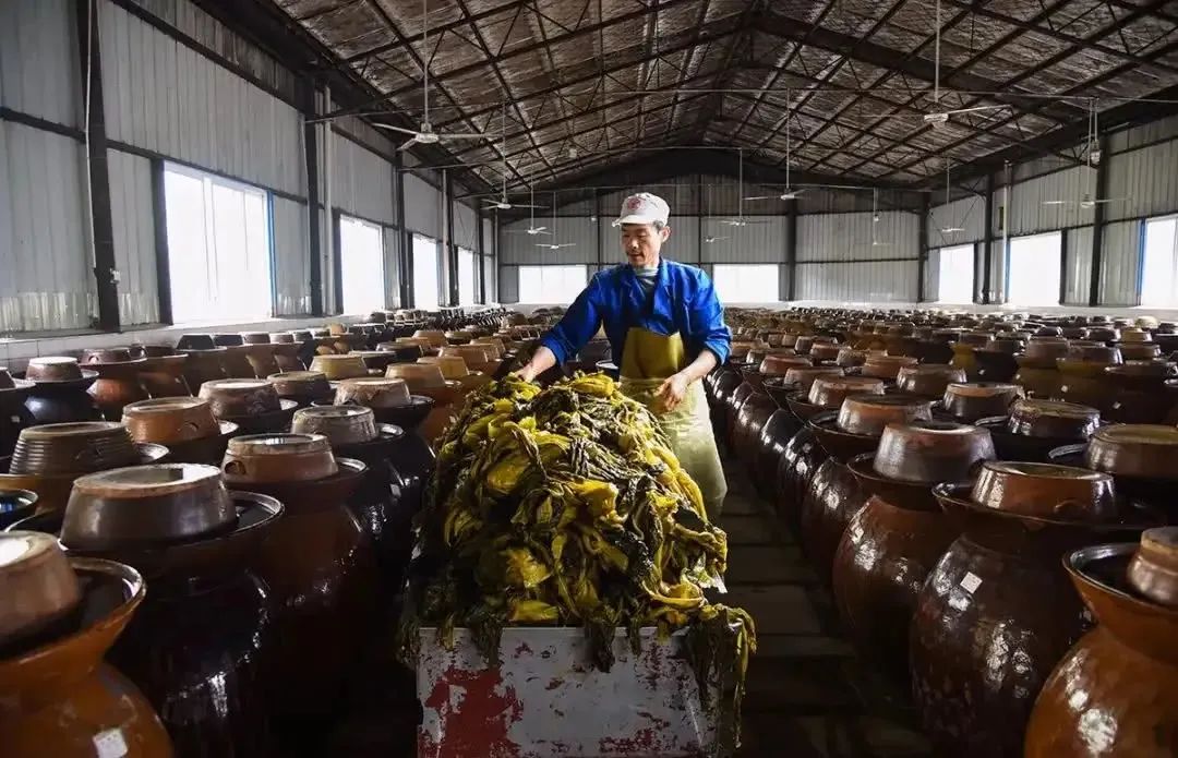 辽宁葫芦岛酸菜生产乱象调查:工人池内抽烟吐痰,省市监部门介入